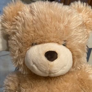 GUND TEDDY BEAR